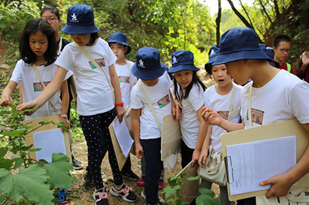 中小学研学-野外实践